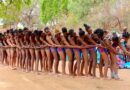 Setšo sa Afrika Borwa: Mmino wa Domba